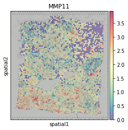 ../_images/tutorial_FCE_5_0.png